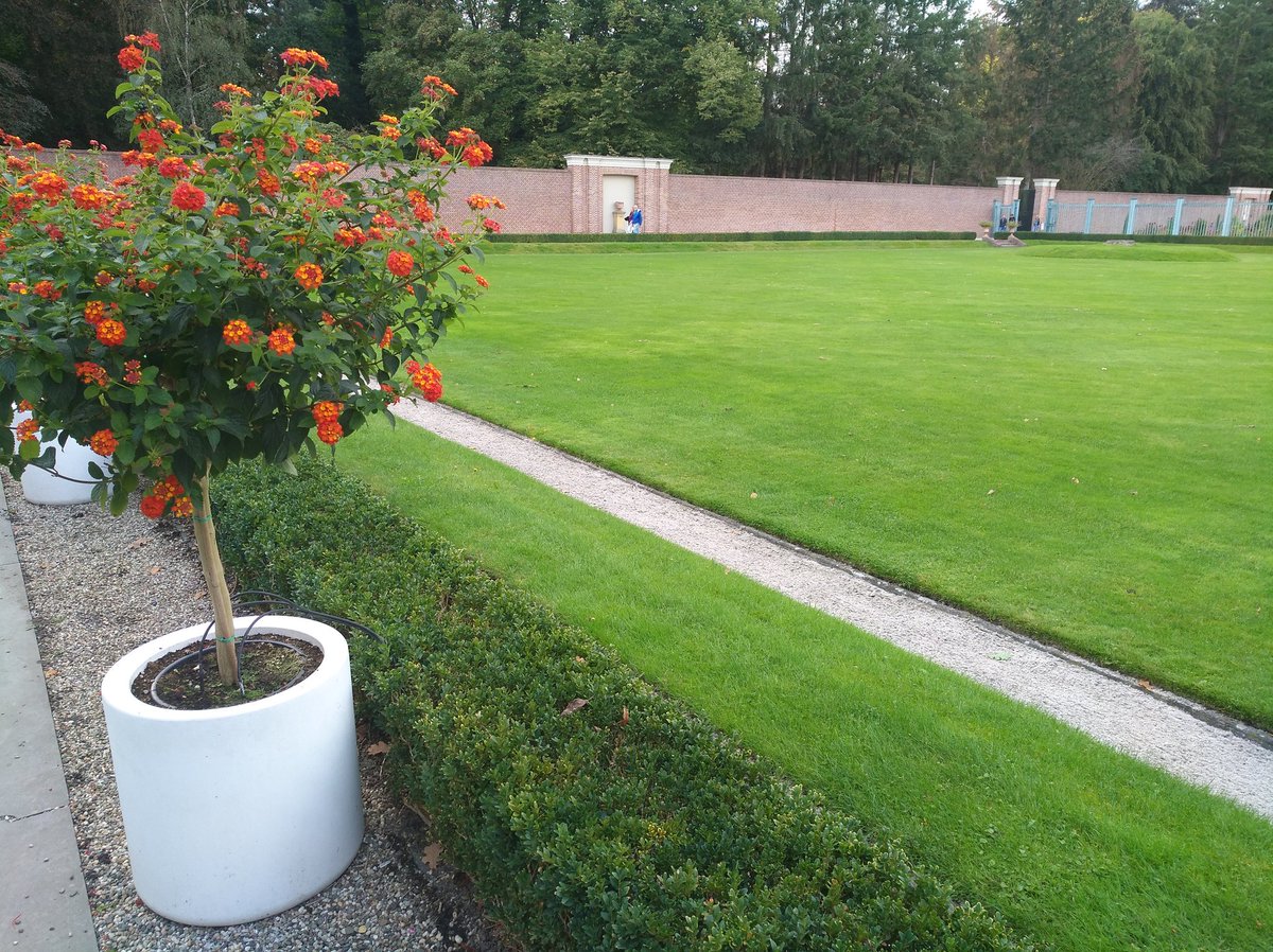 hetkampenvan's tweet photo. De #BarokkeTuinen van @paleishetloo @TuinenHetLoo met o.a. #Citroenbomen en #Ommuurd dit is het Voorhof tot de #Benedentuin @visitveluwe #VisitApeldoorn .Daarnaast zijn vanaf vandaag ook bij @CODAapeldoorn ,de #brochures van @hetkampenvan te vinden (1/8) https://t.co/E1KLfQjYiZ