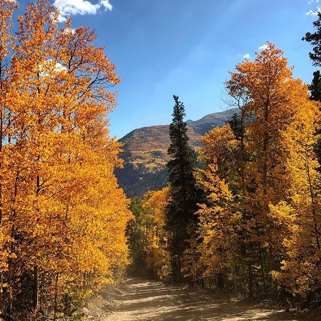 🍂 ☀️Anyone need a pretty trail photo in their feed this morning?
#trailrunningviews ift.tt/2IsxdA3