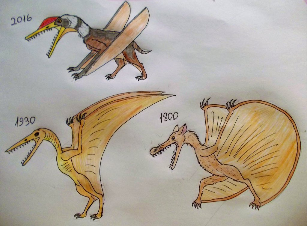 pterosaur evolution