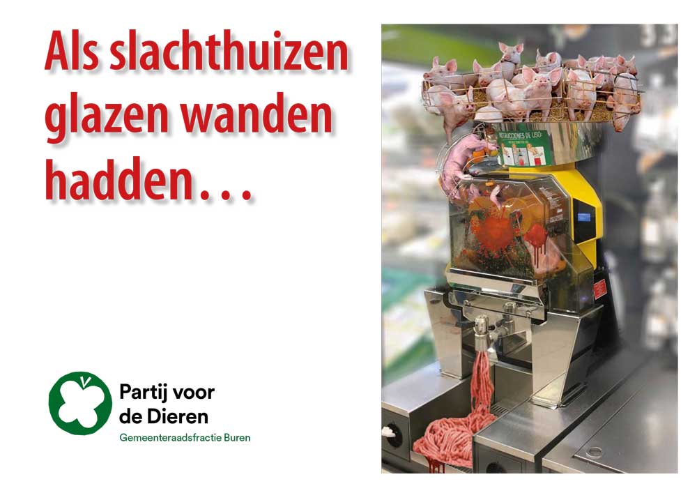 PvdDBuren tweet media