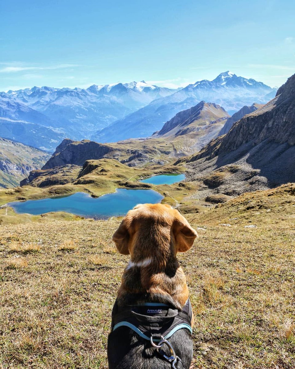 threevanlifers's tweet image. On en prend plein les yeux en @SavoieMontBlanc ! 🏔. Pour notre retour sur les routes, c'est juste PARFAIT, on ne pouvait pas rêver mieux ✌️.

@paysdemaurienne @bourgstmaurice @auvergnerhalpes @pnvanoise