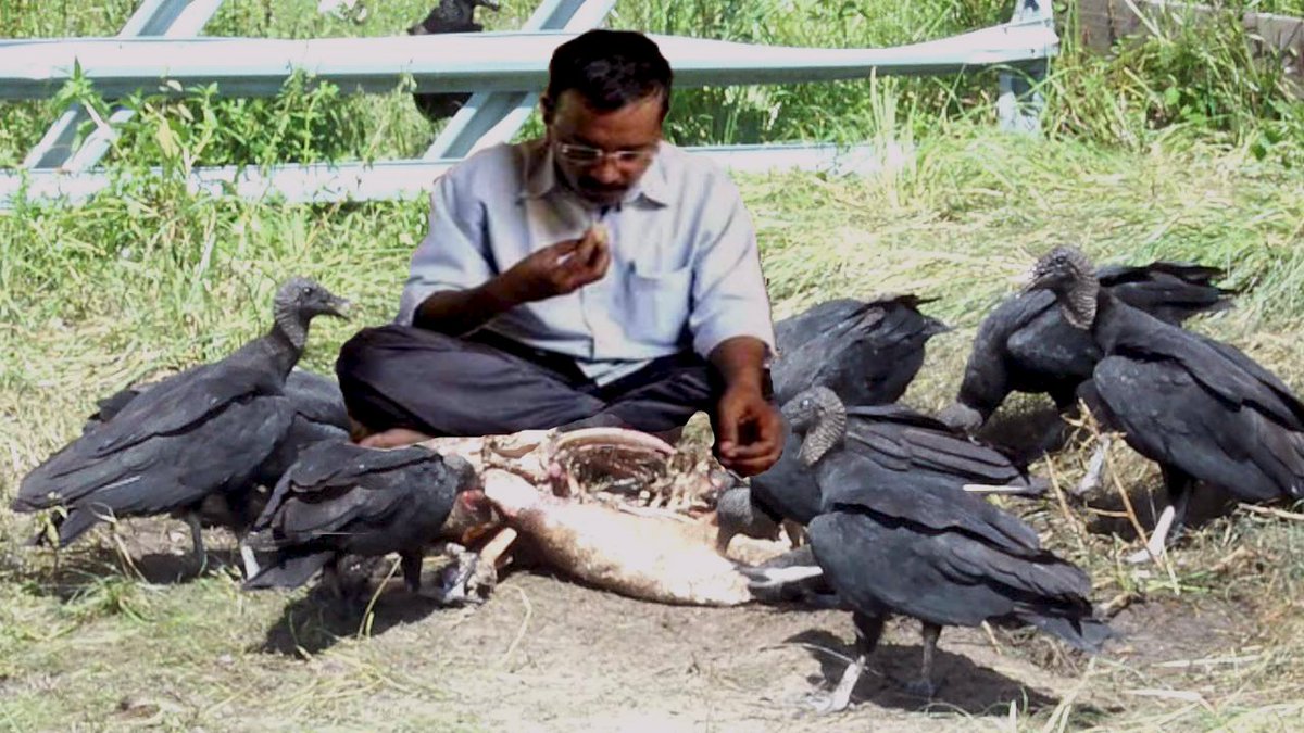 renu_18's tweet image. #VultureKejriwal 

कोई शक ????????