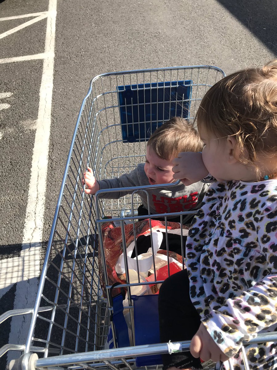 tesco trolleys for babies