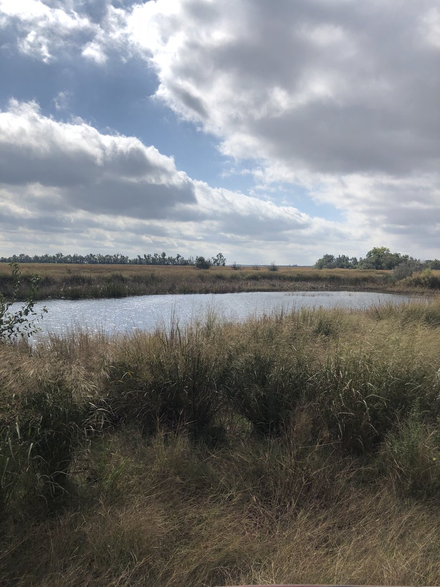 CalamityJaimeH's tweet photo. @duckmo73 The pond is ready for a duck hunt. 🦆 https://t.co/ka3tiYDZiK