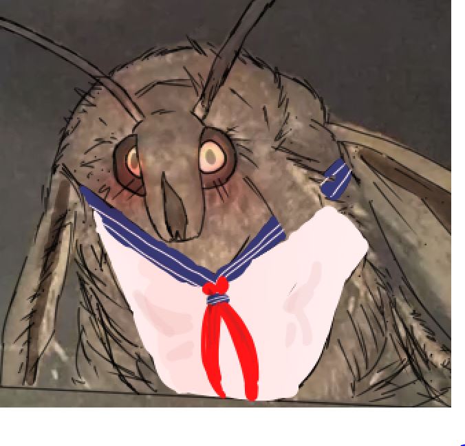 TomCatEye's tweet image. Lamp-Chan? 
#lamp #moth #senapi