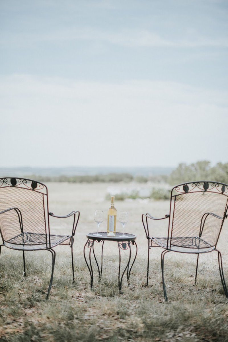 Absolute Charm tweet media