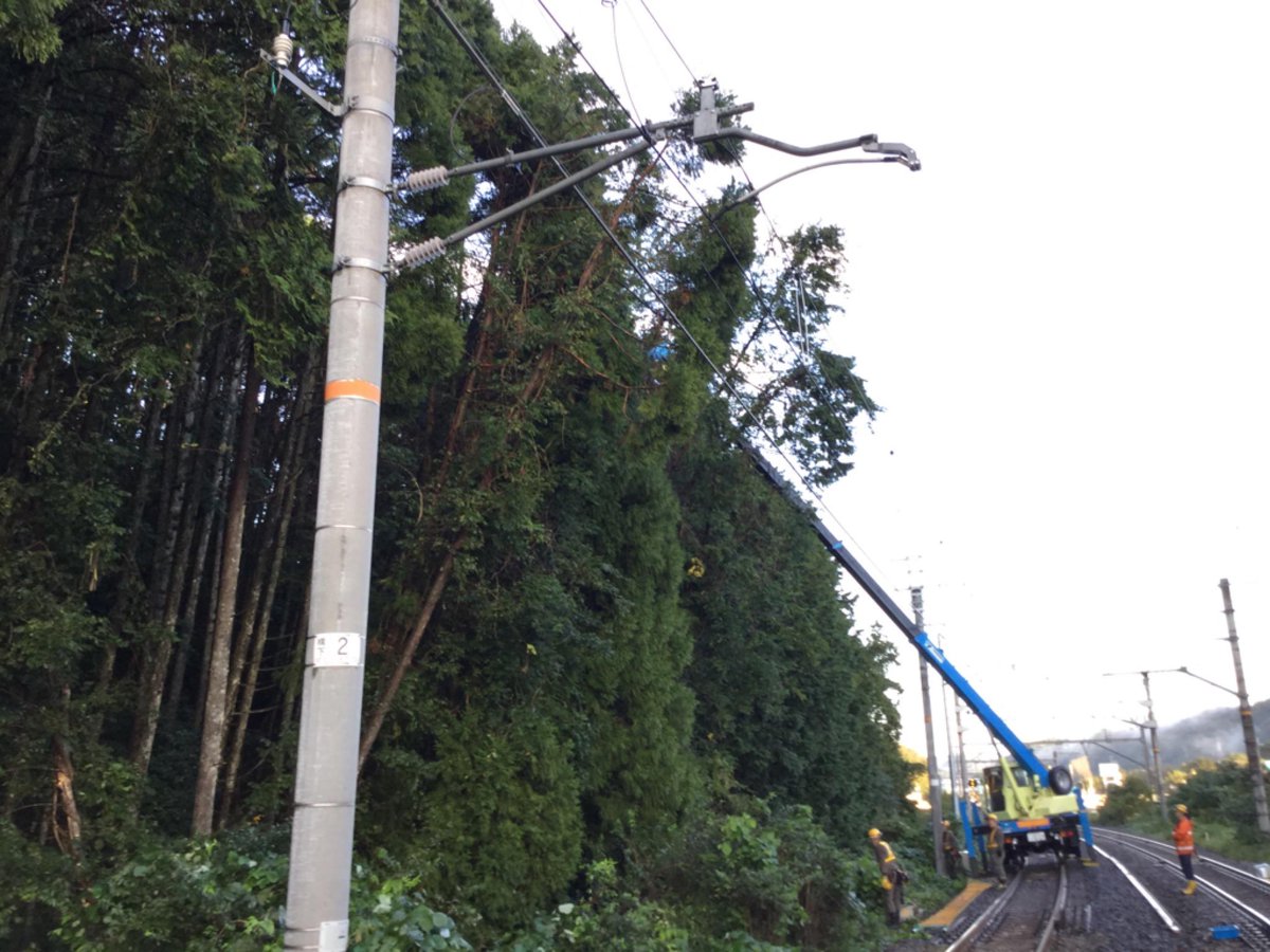 Jr西日本列車運行情報 嵯峨野線 公式 ご迷惑をお掛けしております嵯峨野線吉富駅付近の倒木撤去作業の状況です Jr西日本列車運行情報 嵯峨野線 公式 ご迷惑をお掛けしております嵯峨野線吉富駅付近の倒木撤去作業の状況です