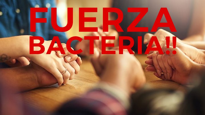 Diosdado hospitalizado!Según  Dr estrés debilitó sistema inmune y bacteria atacó hígado. Pido unirnos en oración por salud d la bacteria. Dios ampare la bacteria y libre de cualquier antibiótico.Cadena d oración por la bacteria. Ánimo bacteria tu puedes!
#Todossomoslabacteria 🙏