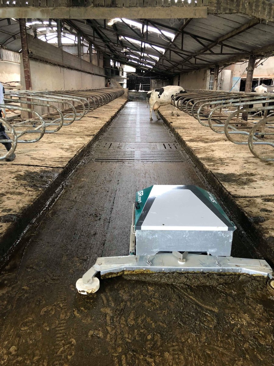 Northern Ireland's first Gea Srone plus robotic slurry scraper installed by mcknight dairy services ltd  for a customer in County Tyrone ..For more info or quote on the new Gea Srone plus contact MDS on 0876481124 or james@mcknightdairyservices.ie
