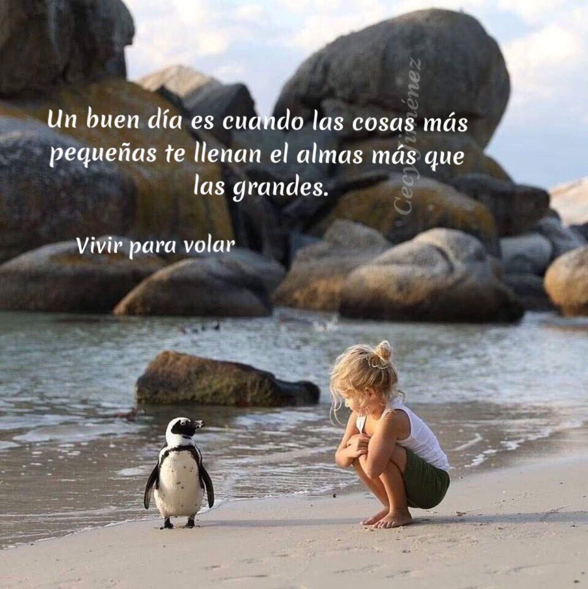 Resultado de imagen de VIVIR PARA VOLAR