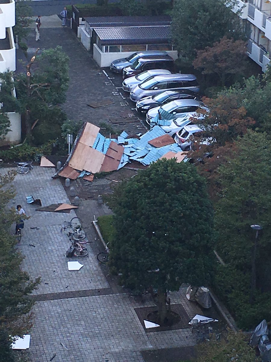 光が丘団地 光が丘団地