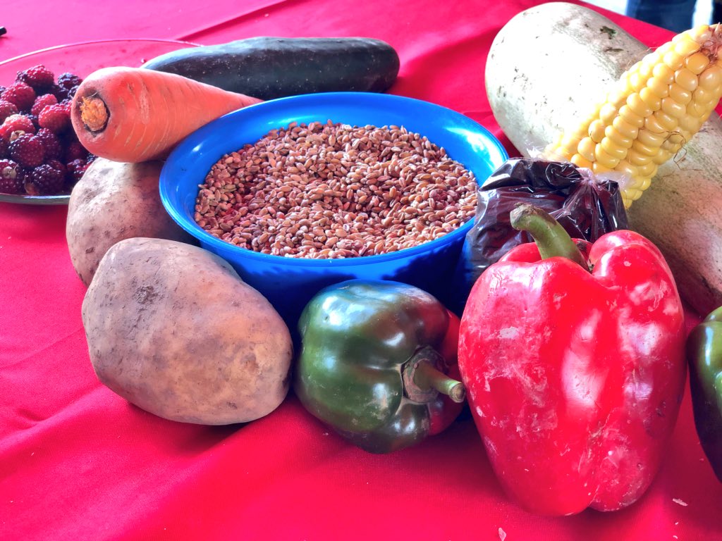 JEHYSONGUZMAN's tweet photo. Desde Mérida vamos a exportar muy pronto por el Puerto de La Ceiba: papa, plátano, pimentón, cebolla, zanahoria, tomate... una gran diversidad de rubros para fortalecer el plan de abastecimiento soberano a nivel nacional con precios justos. | @NicolasMaduro https://t.co/LG1HWDIqfS