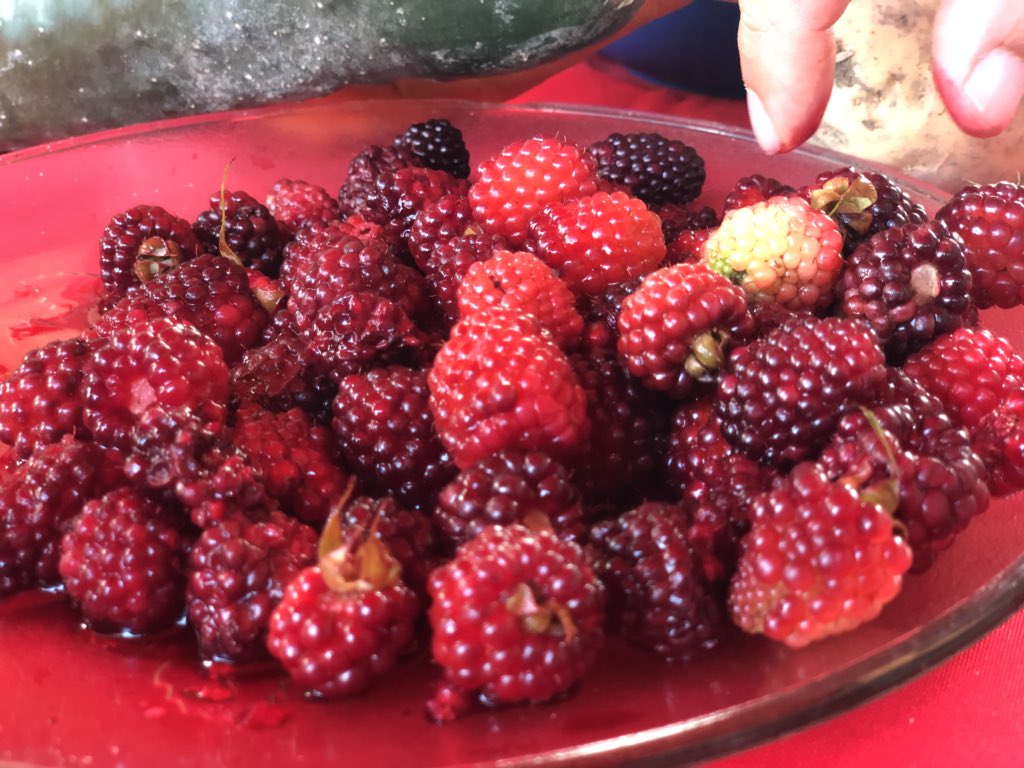 JEHYSONGUZMAN's tweet photo. Desde Mérida vamos a exportar muy pronto por el Puerto de La Ceiba: papa, plátano, pimentón, cebolla, zanahoria, tomate... una gran diversidad de rubros para fortalecer el plan de abastecimiento soberano a nivel nacional con precios justos. | @NicolasMaduro https://t.co/LG1HWDIqfS