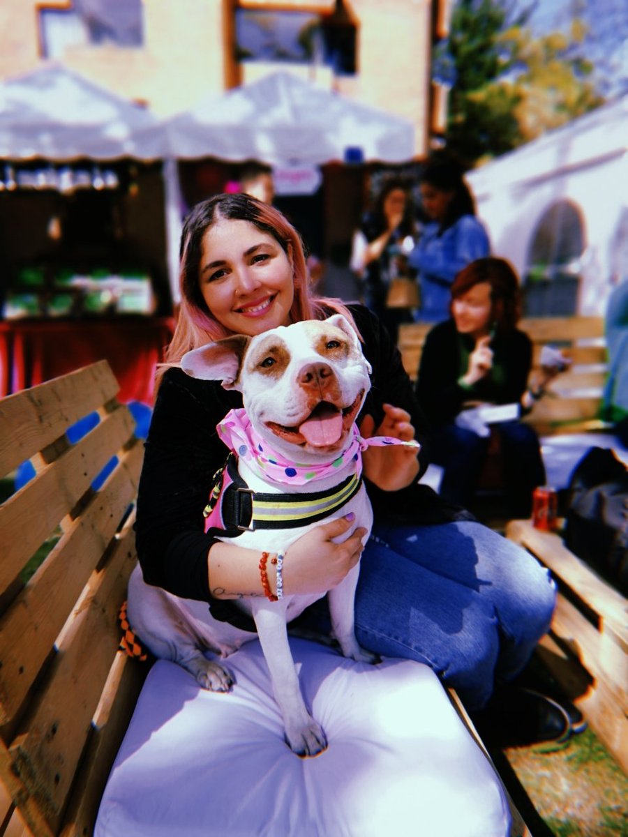 LuMelpomene's tweet photo. 👩🐶 #petweekend https://t.co/ausrwXD6Pm