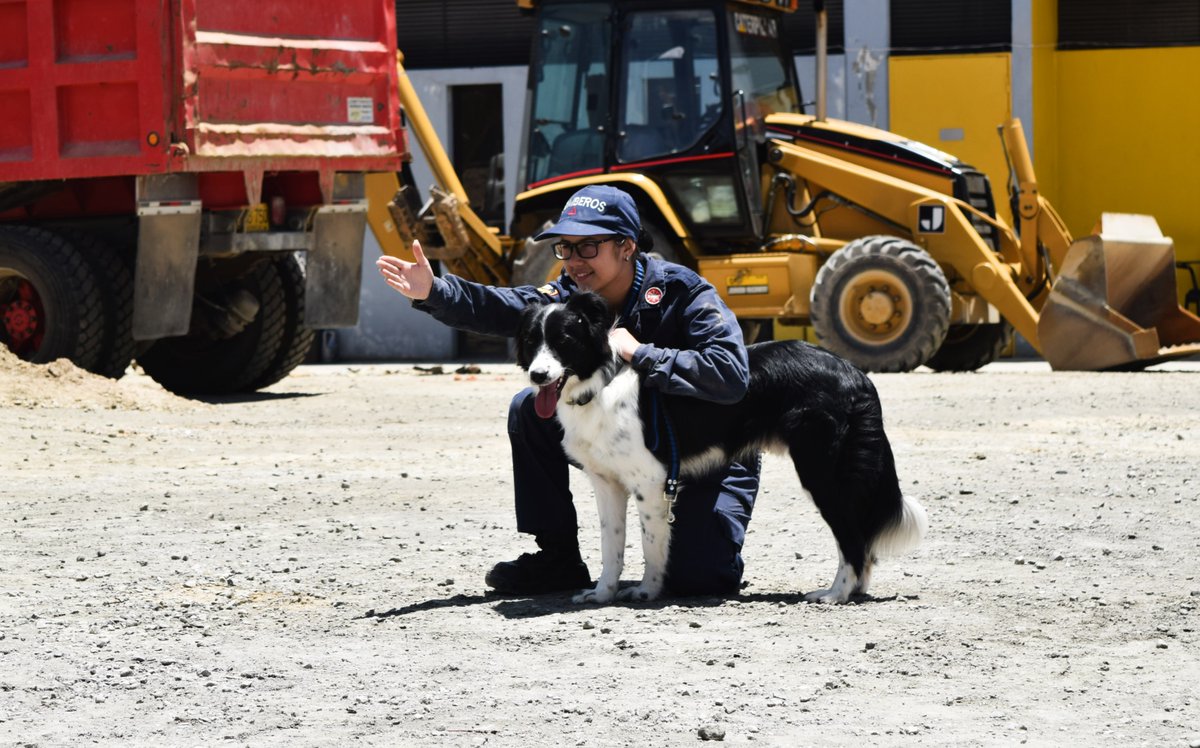 CBVSabaneta's tweet photo. Nuestro grupo de rescate canino ha atendido desastres como el terremoto en Haití, el deslizamiento de tierra en el barrio La Gabriela y otros de todo tipo de magnitud. 
¡Los perros son nuestros mejores aliados! https://t.co/QwV9RZ0KJi