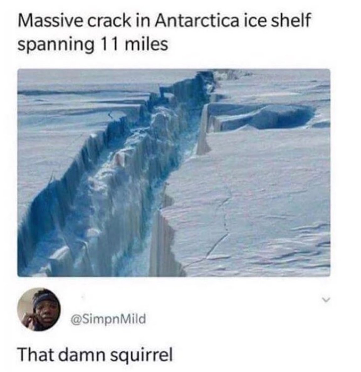 MensHumor's tweet photo. He's back at it! https://t.co/9ueQ0q3aTj