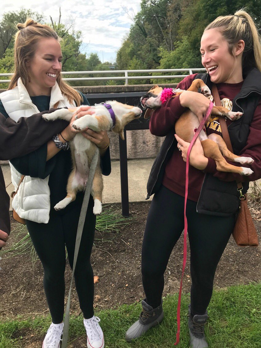 brianaryan22's tweet photo. Who doesn’t love a puppy play date ❤️🐾 https://t.co/hG1umiIPu3