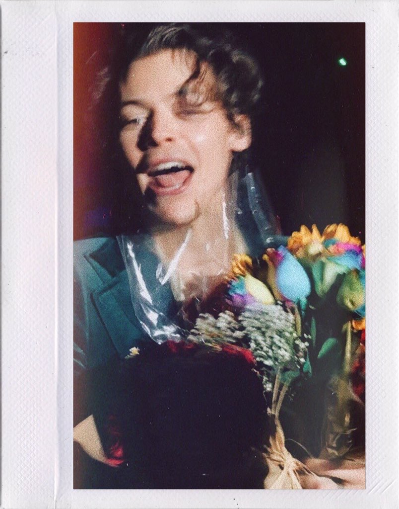 best harry pics (@hightpics) on Twitter photo 