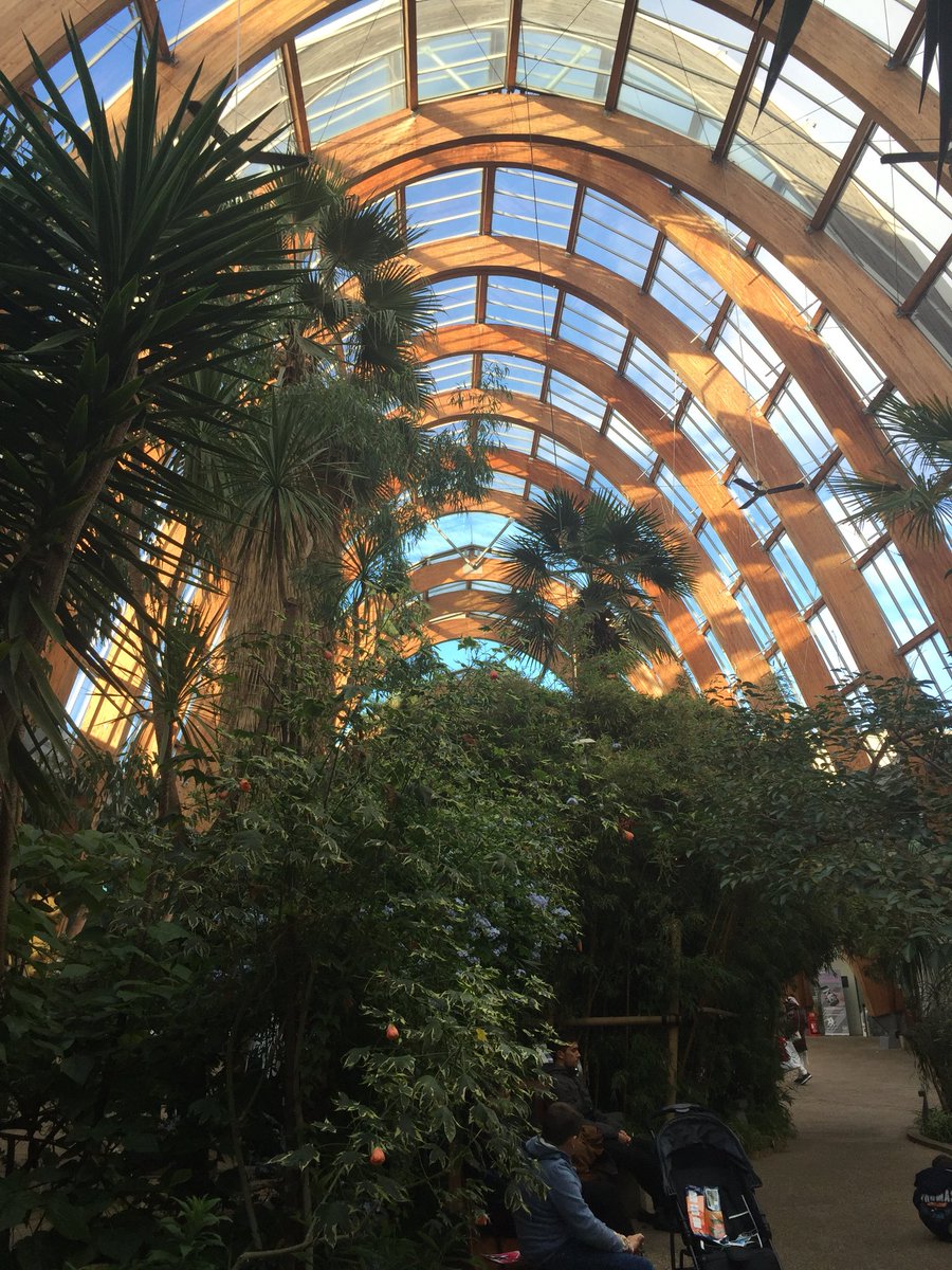 TheWIWalks's tweet photo. Added bonus as we had time, a meander through @VisitSheffield to see the Winter Gardens on the recommendation of @SevenHillsWI. We’ve had a lovely visit to the city and plan to return. Lots of Transport links into the Peak District @WomensInstitute @WILifemagazine @MFWI @N1_WI https://t.co/dqUcVHzh5A
