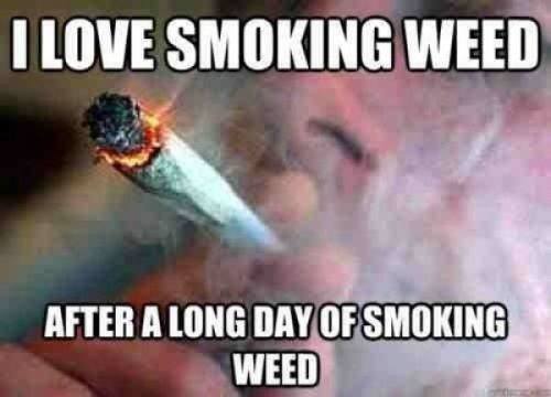 steve808103's tweet photo. @Starrbryte67631 @jmacdonald002 @ladybuggedhc @HempIndiana @ReeferClippings @LARRYIRBY6 @jerryrickman1 @BarryRo61831082 @Hippie_of_Love @Dragonzwing14 @and1_grant @LoriLNoel2 @TCQuery8 @Amznfrknaz @karmapolicebust @CrossFollower12 @Ignacio31210364 @JonnyRotten1714 @EmeraldZoo @Cogitatorium @Michael57645022 @hippieluvbud62 @3PeopleLikeThis @james_bong13 @THEEMBLAZONED1 @Tinkerbell_High @NeilSamra1 @ArmyOfPotheads @KeeslingT @lrbates21517 @crazybatmanfan @BigOilandGas @kympossiblyfab @McMyTHead @AlluraSBrites @tripprrr @ColucciCannabis @courtneyg420 @KevinM180 @Angelaslife1211 @chronicpainguy @palmsprings_420 @Bklynbby @Stoned_Gurl @High2_Fin @BoogyBrand Thanks so much. Casts off now and physio ahead. Lots of strong kush and my edibles help so much.  PEACE and LOVE to ALL from this Ol' hippie. https://t.co/nT87Q3fnbx