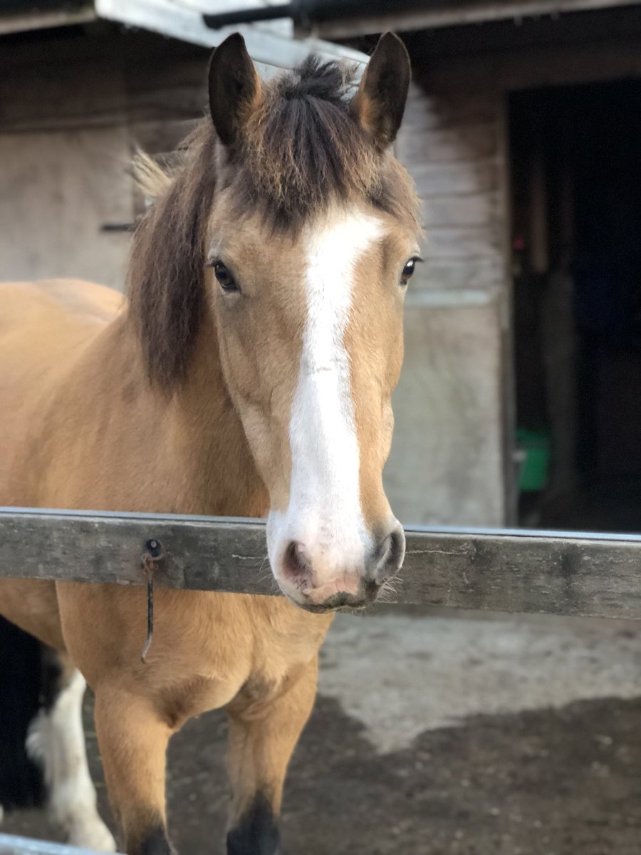 That grubby face 😂