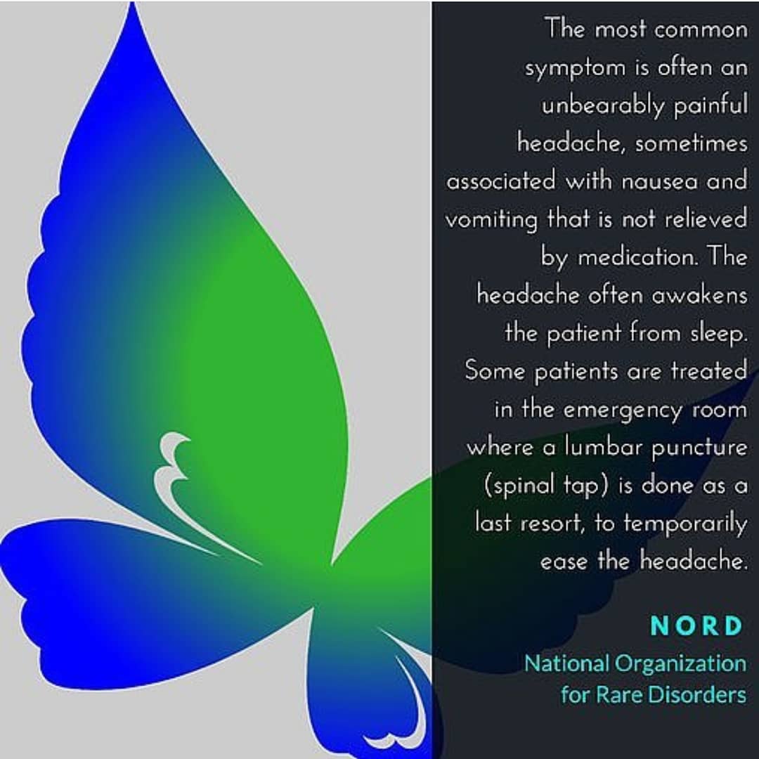 tennygirl79's tweet photo. September is #IHAwarenessMonth
#IntracranialHypertension #IH #pseudotumorcerebri #PTC #IHLife #1in100000 https://t.co/1klfo0rkE5