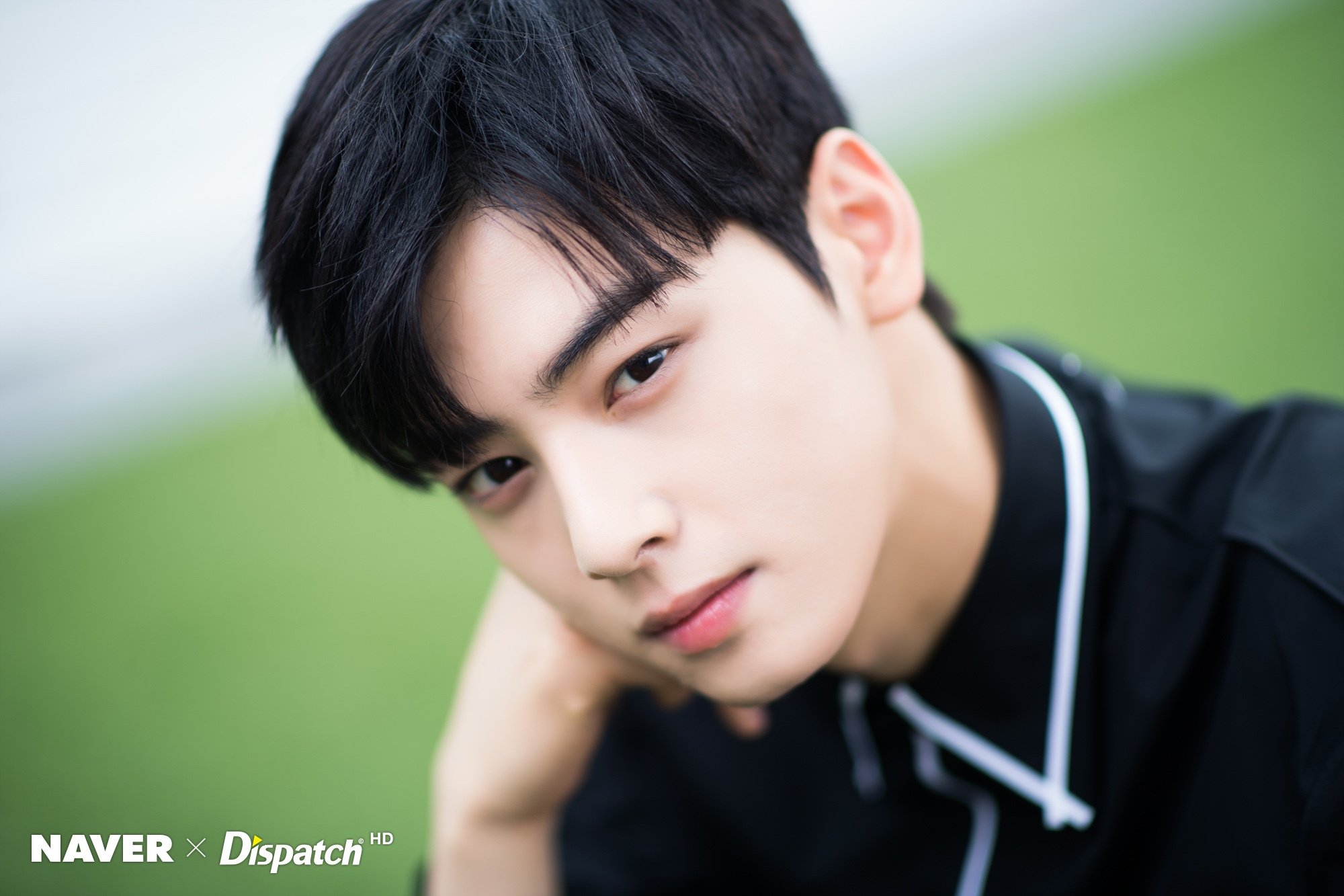 Ча Ын у (Cha Eun Woo)