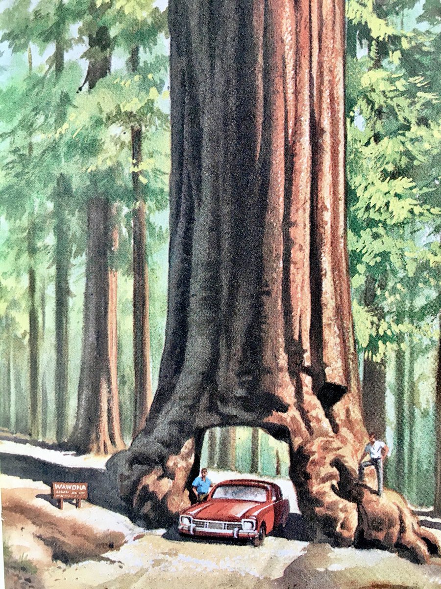 LBFlyawayhome's tweet photo. Ladybird things I really, really wanted, part 23.
To drive through a tree
#JackMatthew https://t.co/vKw6TjTl5h
