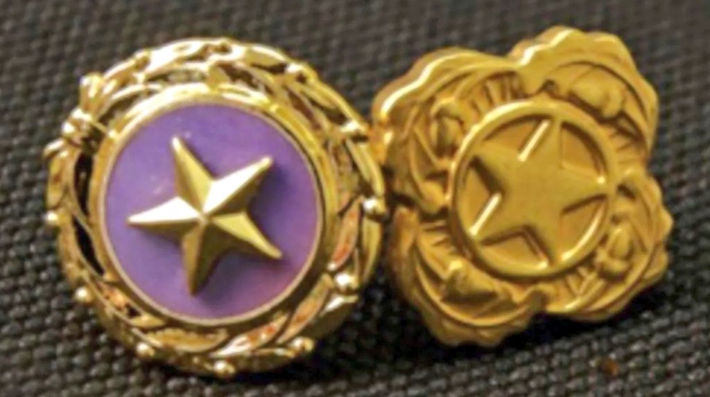 Urena's tweet photo. Today is #GoldStarMothersDay⭐ An additional opportunity to take a moment to thank and support all families whose loved one made the ultimate sacrifice in service to our country while in US Armed Forces. https://t.co/GsVGY8Lyj7