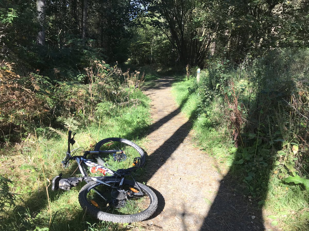 KatieRobins12's tweet photo. First tweet! What to say to make an impression... here is my bike in a forest. #illleafitthere #poorstart #firsttweet https://t.co/S5CbzWPPg9