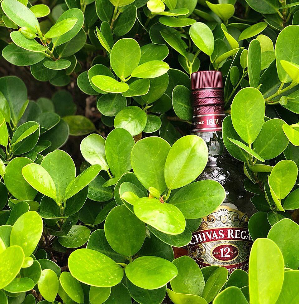 Chivas Dominicana tweet media