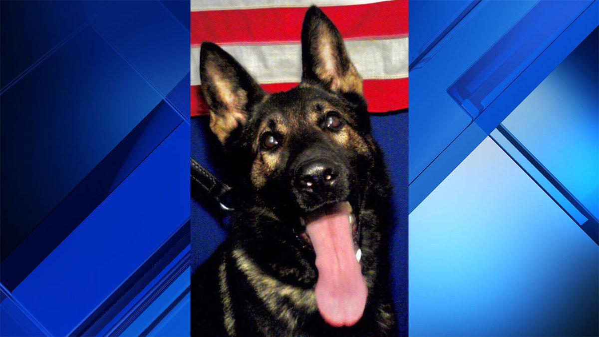 Florida K-9 dog named Fang killed by carjacking suspect bit.ly/2xQDj9d https://t.co/NWYa1C5fNF
