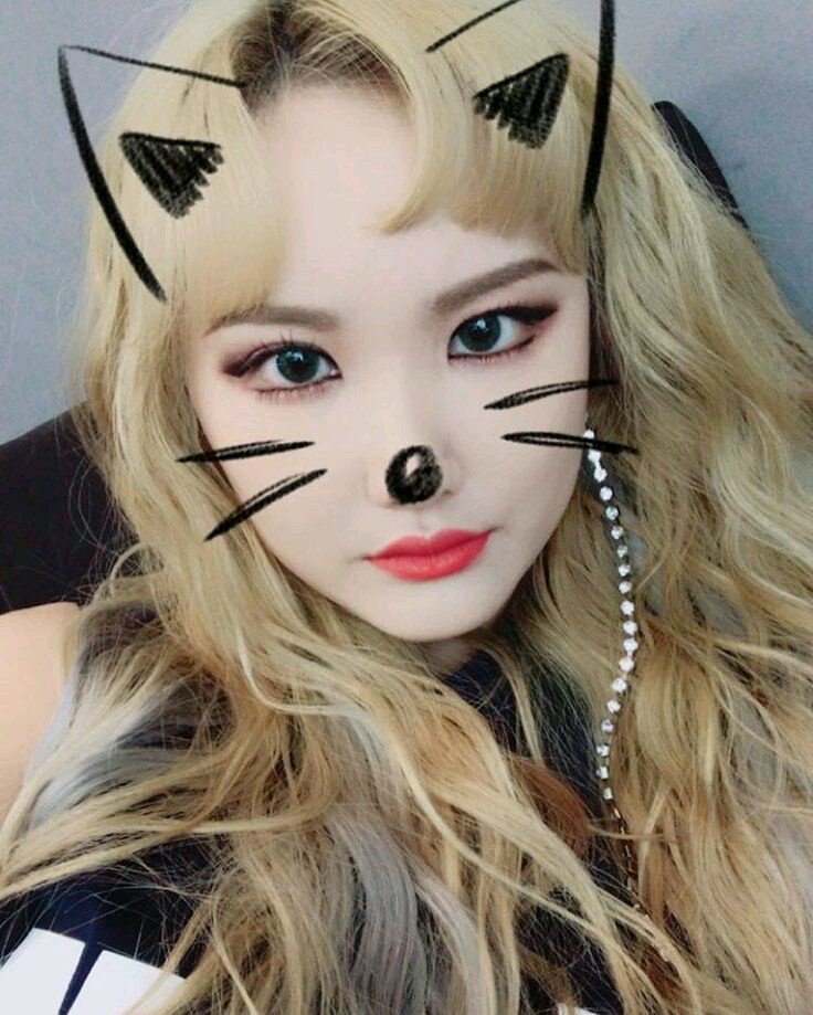 BL0ss0m99's tweet photo. @polls4kpoppers #EXID_LE https://t.co/2M94KAOI53