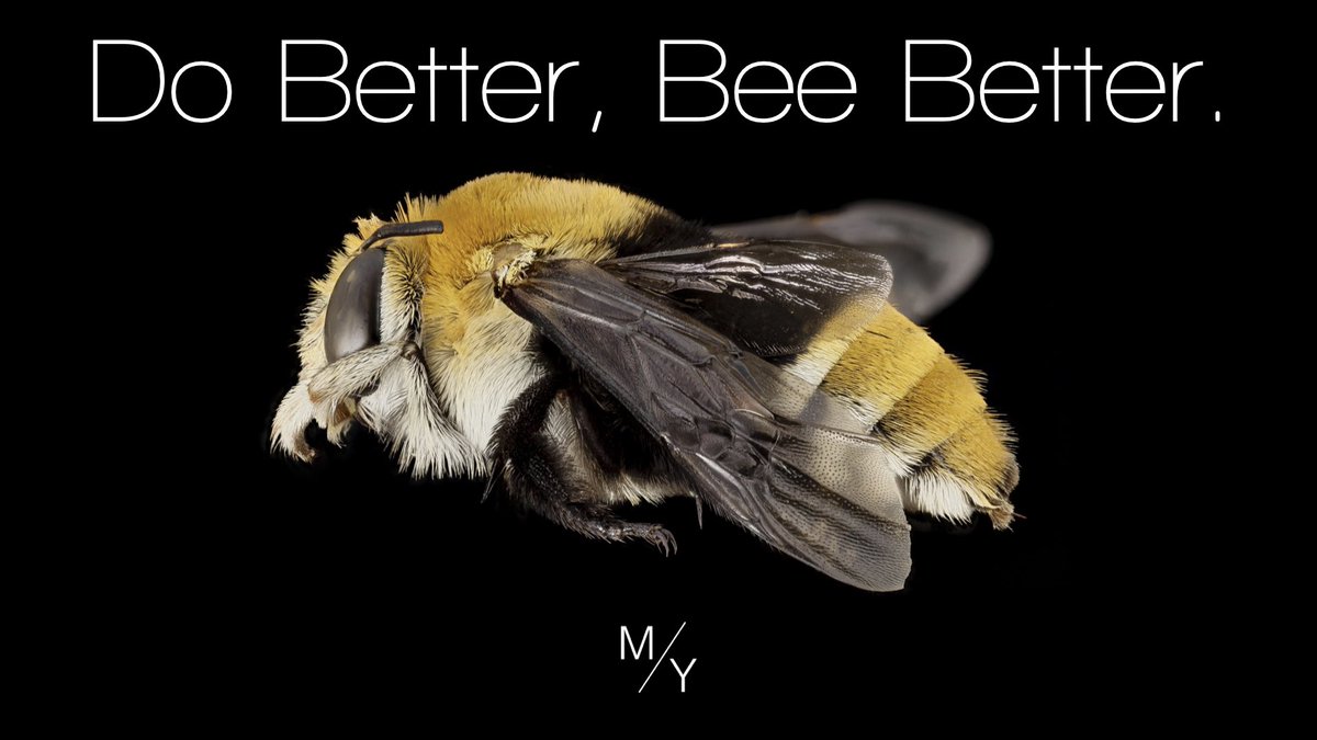 MosaicSM's tweet photo. Come hang with us tonight at Mosaic Youth as Pastor Sammy ties together bee stings, whispering, and Jesus! Don't come alone! Bring a friend! Tonight starting at 5:30! https://t.co/MwBVHkJb2E