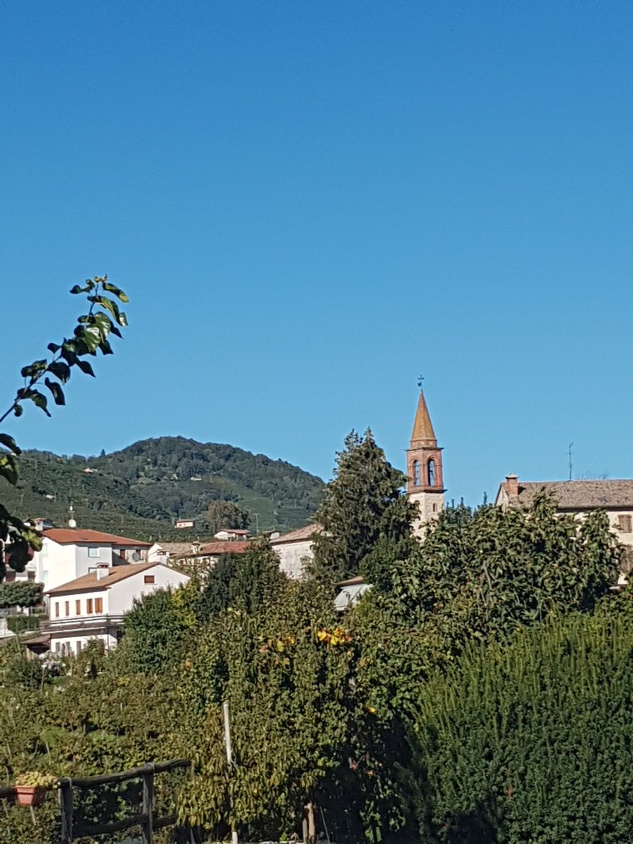 ladyarena4's tweet photo. Spent a resting day immersed in the breathtaking beauty of the #vineyards of #glera #grapes overlooking the #Cartizze valley
#proseccodiconeglianovaldobbiadenedocg #proseccolovers #proseccolovers #bubblelovers https://t.co/5ps21nQxns