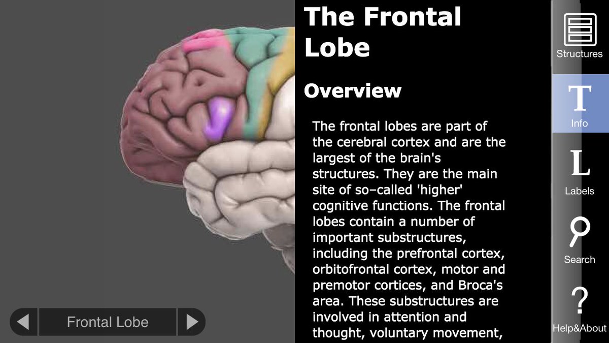 EducatingPsych tweet picture
