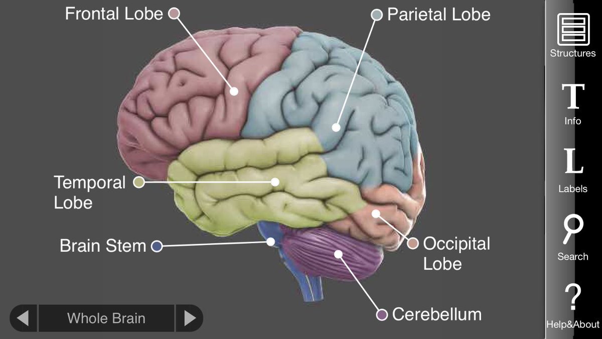EducatingPsych tweet picture