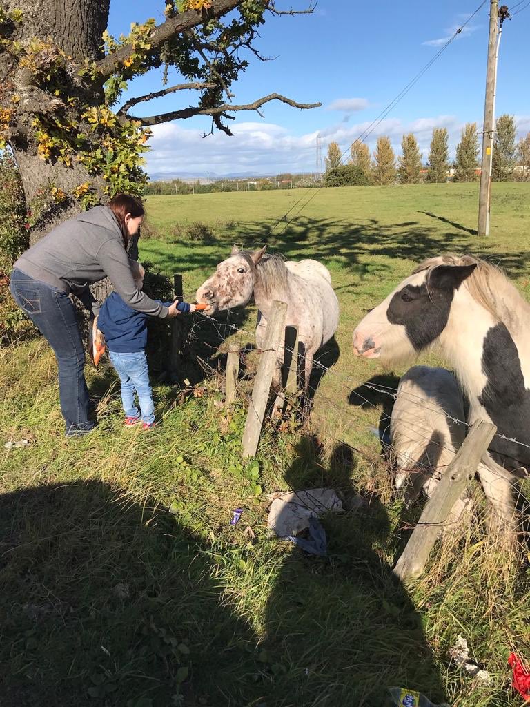 SharonLoveSPS's tweet photo. Jake’s animals of choice this weekend. He also had a word with one of them and asked them to see if they could get someone to pick up all the rubbish around their field 😂 #ecowarrior @larbertday https://t.co/rSOH5MuXWK
