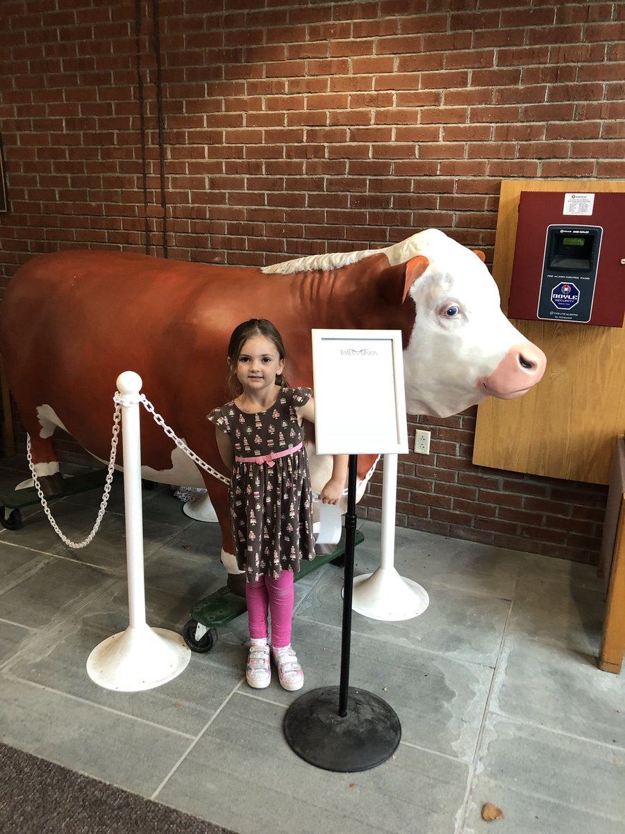 MrsCalacone's tweet photo. Library #18 Guilderland Public Library.  Love the welcoming cow! Ann, the reference librarian, gave us a good history of the library. The books, train table and grocery stand were big hits. Self checkout was an added bonus! @kcalacone #Library36er @GuilderlandLib https://t.co/LdrSLI4KUc