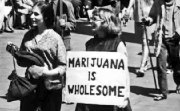 Fighting #Cannabis Prohibition Since 1937. #MarijuanaTaxAct
