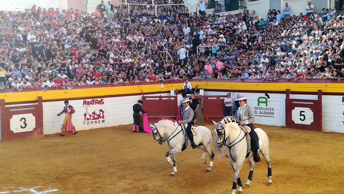 portaltaurino's tweet photo. Algemesí (Valencia) cierre de #SetmanadeBous rejones Novillos de Luis Albarrán para Juan @JManuelmunera ovación/ovación y @marioperezlanga ovación/vuelta 📷@embestidas @portaltaurino https://t.co/kipHIncNyl
