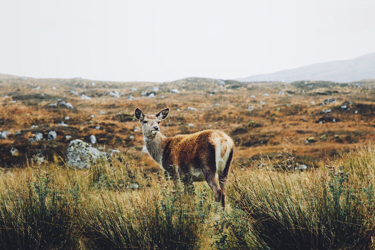 Daniel Casson tweet media