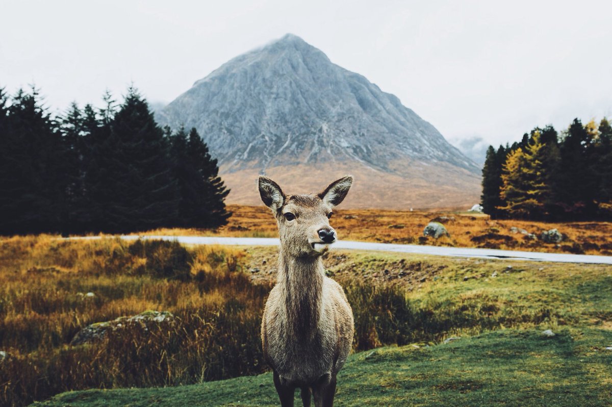 Daniel Casson tweet media