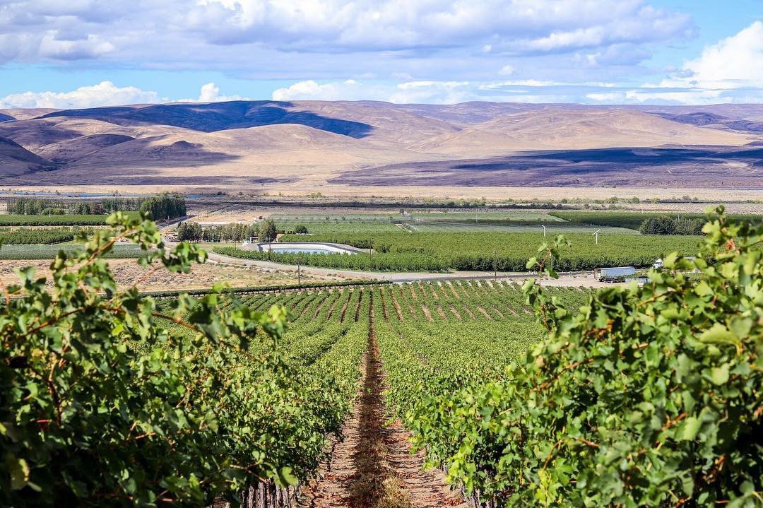 The hills are alive with the sound of #harvest.

#WaHarvest2018