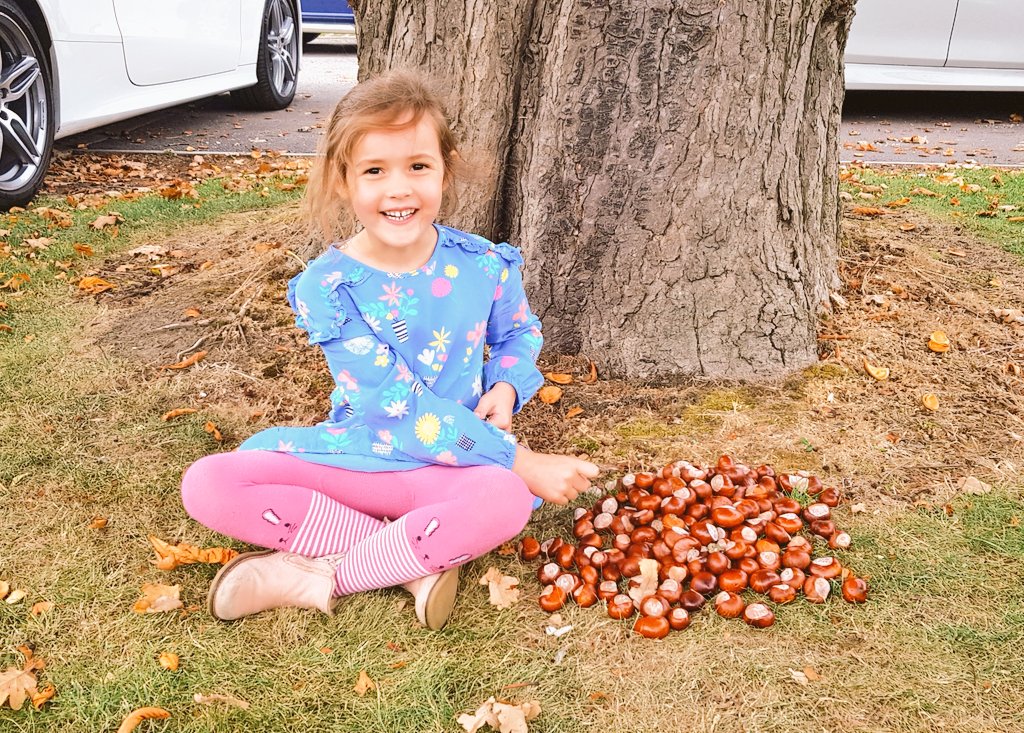 BigMick2009's tweet photo. @OPA_LG when you find the best conker tree in the world!  #OPAoutdoors #horsechestnut https://t.co/nkoYmQIhLp