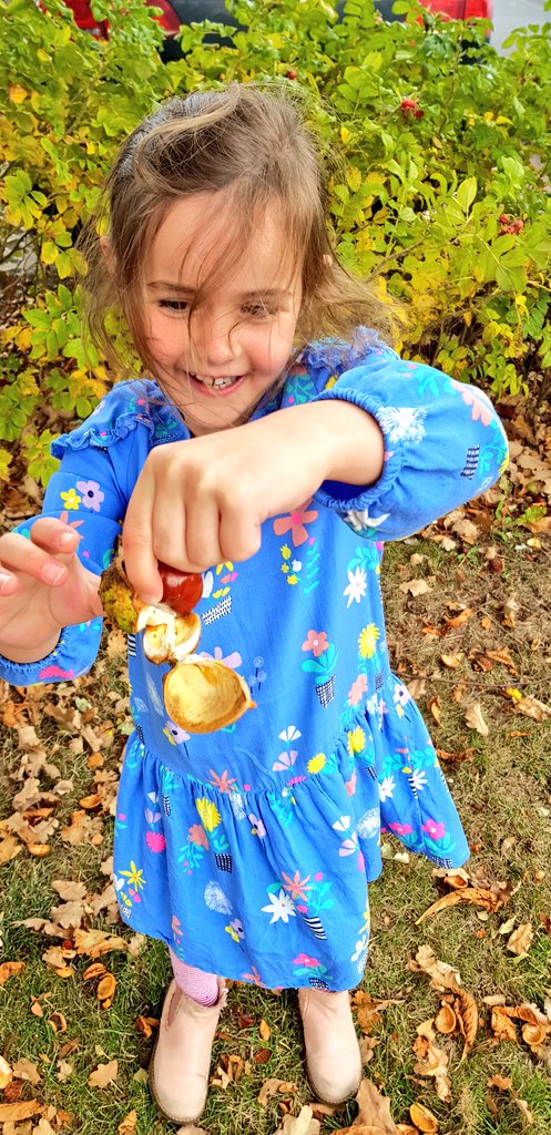BigMick2009's tweet photo. @OPA_LG when you find the best conker tree in the world!  #OPAoutdoors #horsechestnut https://t.co/nkoYmQIhLp