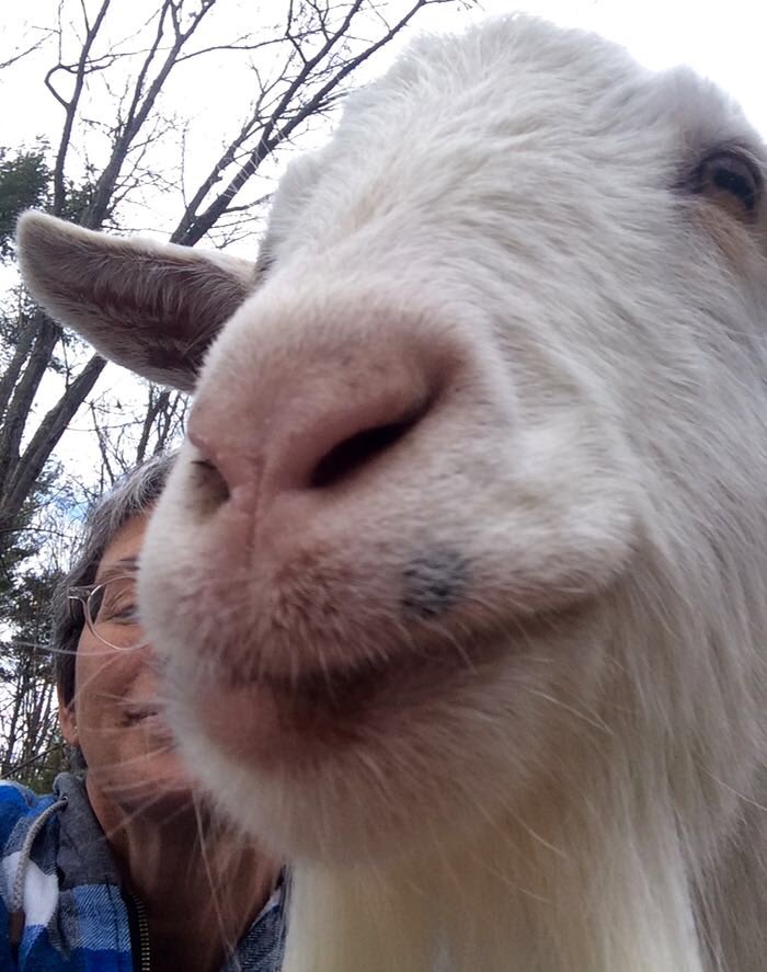 But first, let me take a selfie