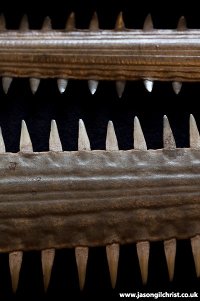 jgilchrist13's tweet photo. Continuing today's maritime Doors Open theme: Trinity House, Leith, Edinburgh, Scotland. Home of whaling artefacts &amp; Darwin in the library.
https://t.co/1P3RkchV8H
#whaling #Darwin #CharlesDarwin #maritime #Leith #Edinburgh #Scotland #DoorsOpenDay #EdinburghDoorsOpenDay #dodscot https://t.co/URnF5IMrpD