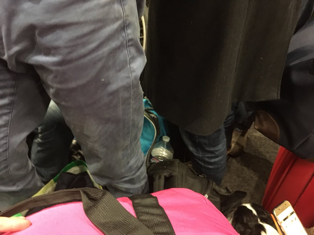 Mathilde514's tweet image. .@SNCF - train Granville-Paris. Tellement bondé qu’on ne peut plus s’assoir dans les couloirs. Le tout à plein tarif évidemment. Normal?!!!