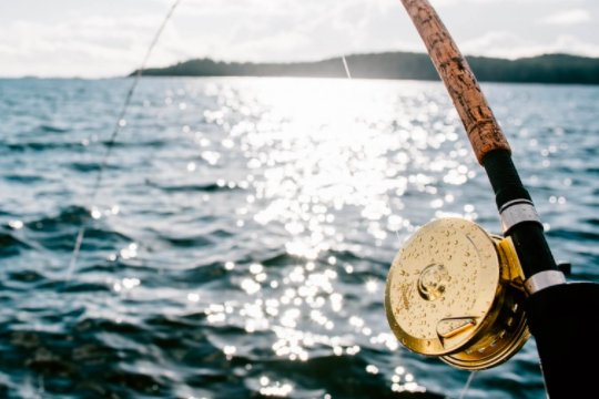 fishinglt's tweet photo. Breaking News: PAUL NELSON FISHING: Best view of fall colors? From the boat via Bemidji Pioneer #fishing #angling #fishinglife #bassfishing https://t.co/eTenrudGw0 https://t.co/2bVOxIBKp5